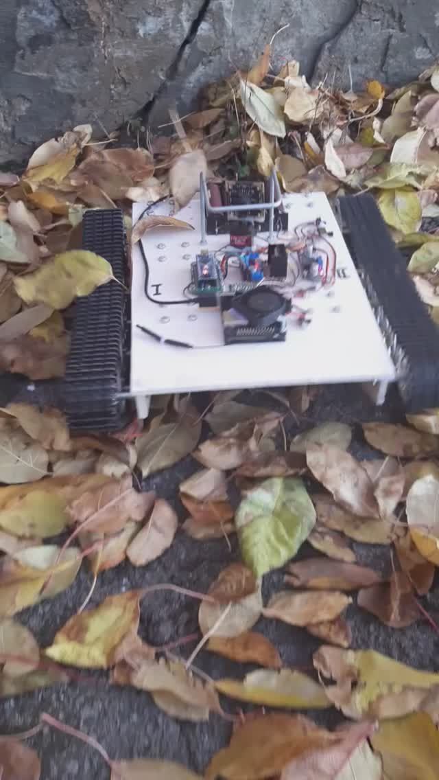 Робот и листья - 1 смотреть онлайн