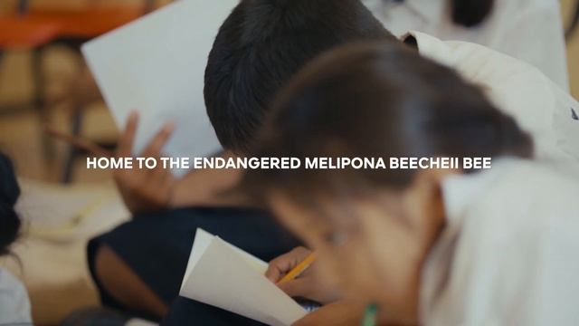 #AngelinaJolie for #WorldBeeDay 2023 | GUERLAIN смотреть онлайн