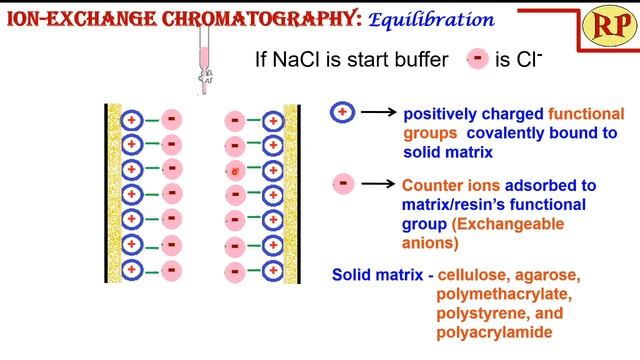 Ion-exchange Chromatography(Animated)|Separation Of Charged Molecules By Ion-exchange Chromatograph