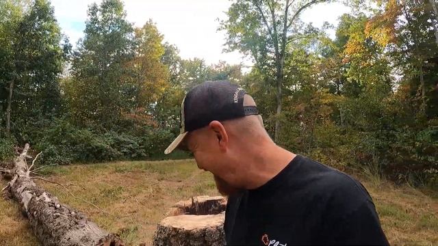 Giant Oak Tree vs. Tiny Electric Chainsaw - Kobalt 12” 24v and Kubota BX23S Moving Big Logs смотреть онлайн