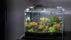 Tetra 6 in 1 test strips