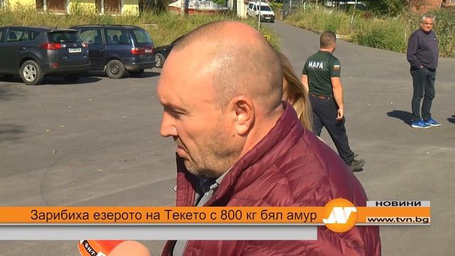 Зарибиха езерото на Текето с 800 кг бял амур смотреть онлайн
