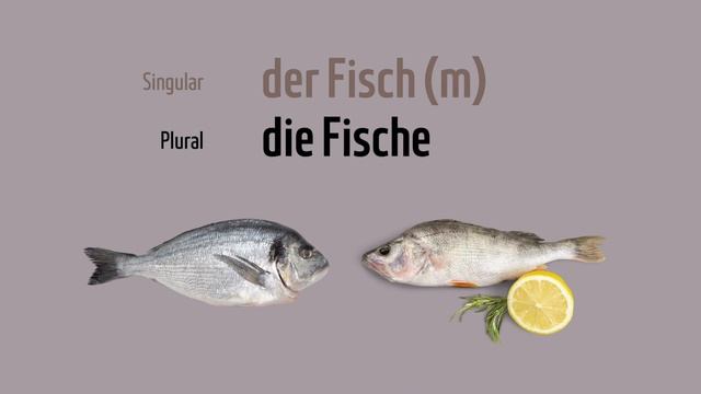 Deutsch Lernen - Wortschatz: Im Supermarkt Beim Einkaufen