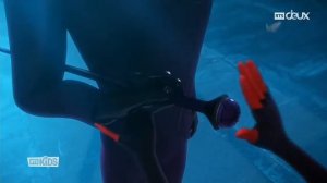 Леди баг и супер кот:День героев!