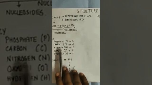 STRUCTURE OF NUCLEIC ACID PART 2 смотреть онлайн