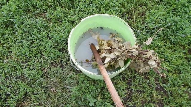 Опрыскиваем плодовые деревья, кустарники домашним средством смотреть онлайн