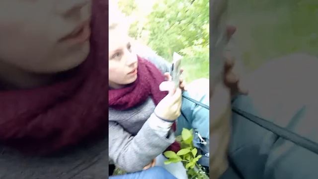 11 мая 2017 г. смотреть онлайн