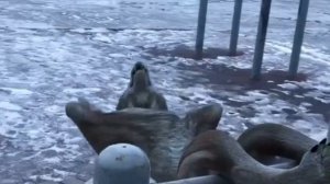 безумно можно быть первым