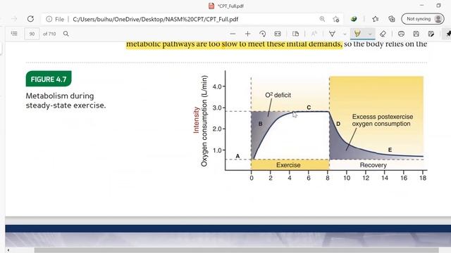 Ngày học online 8 (video 1) NASM 3 enegery path ways, biomechanics смотреть онлайн