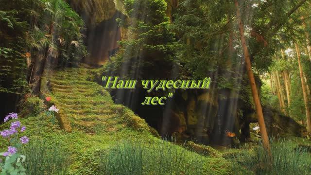 "Наш чудесный лес"