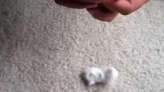 Make a Helium Atom смотреть онлайн