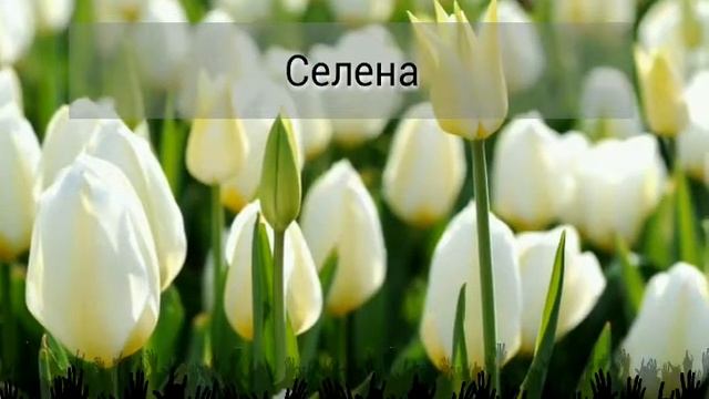 Кто лучше Деми или Селена смотреть онлайн