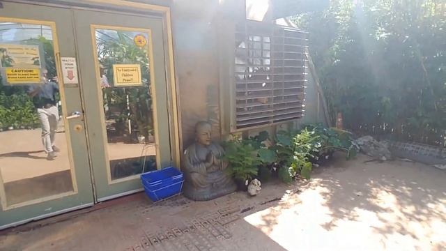 The Natural Gardener - Austin, Texas July 2019 смотреть онлайн