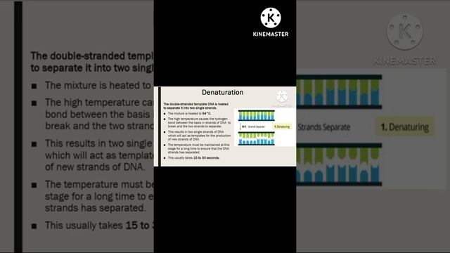 Polymerase Chain Reaction| PCR| Principle and Steps| For lecture visit channel|Concepts of Botany смотреть онлайн