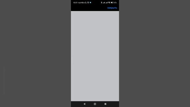 Школьный кот