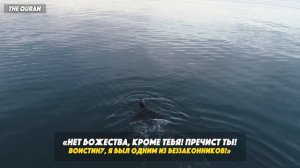 Дуа ОТ ЛЮБЫХ ТРУДНОСТЕЙ | Дуа Пророка Юнуса [мир ему]
