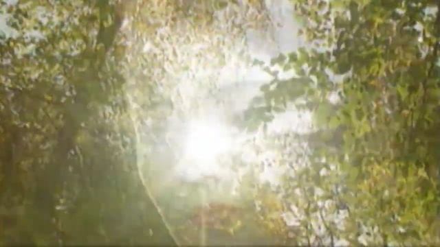 Охунжон Мадалиев - Кургим келди | Ohunjon Madaliyev - Ko`rgim Keldi