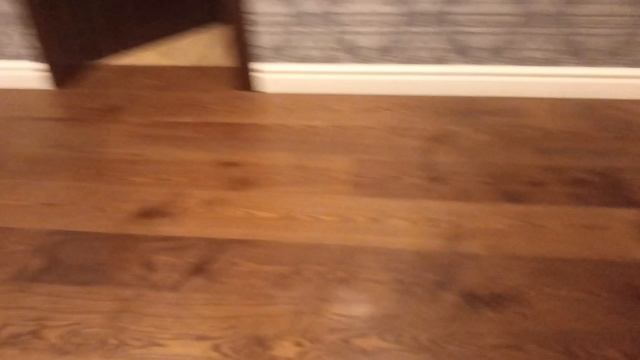 влог по тренеровке зефирки