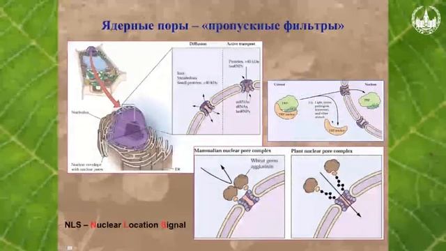 Лекция № 7 смотреть онлайн
