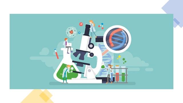 Uridine Monophosphate - Essential Brain Nutrition