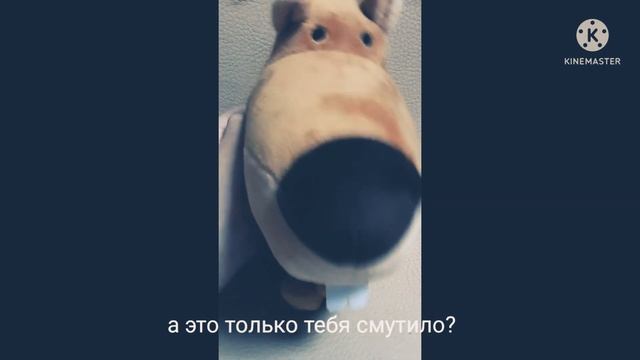 белка захватила мой канал! смотреть онлайн