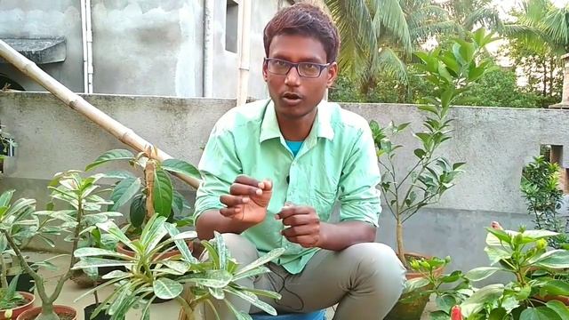 জীবাণু সার কি ? আমরা জীবাণু সার কেন ব্যবহার করবো ?|| জীবাণু সার Part 1|| смотреть онлайн