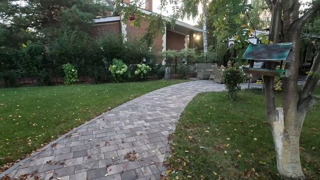 Обзор вымощенной территории