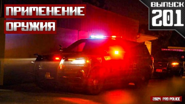 Применение оружия сотрудниками полиции: Мотели [Выпуск 201 2024]