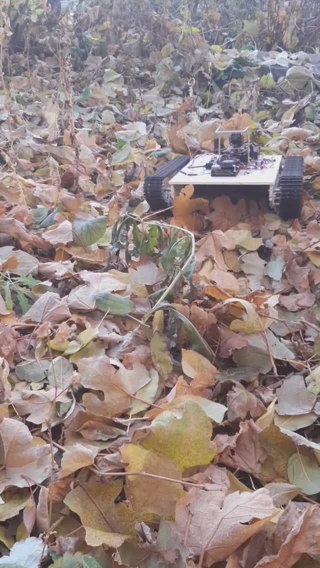 Робот и листья - 4 смотреть онлайн