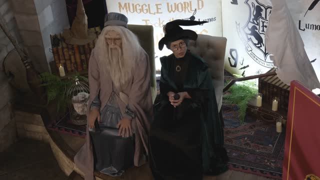 День рождение в Хогвартс. Праздник в стиле Гарри Поттер смотреть онлайн