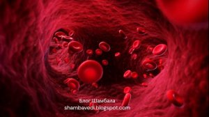 ТАЙНА КРОВИ - ВАЛЕРИЯ КОЛЬЦОВА