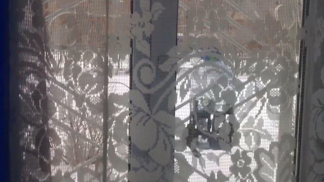 Vladimir Lalov - Breeze In The Branches (Dance / Breakbeat) Free Music