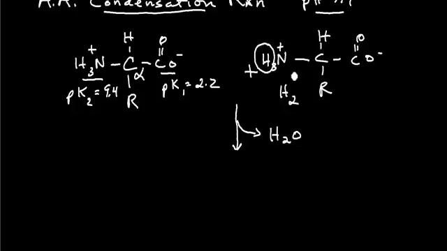 Condensation Reaction смотреть онлайн
