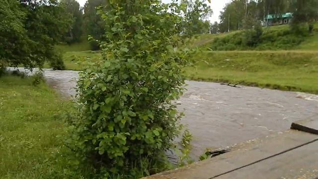 Река как весной, дождь стих смотреть онлайн