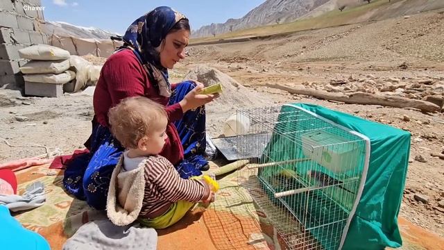 Husband. Khabeeth, cunning to deceive his first wife after marrying two women. 🤰😱 смотреть онлайн