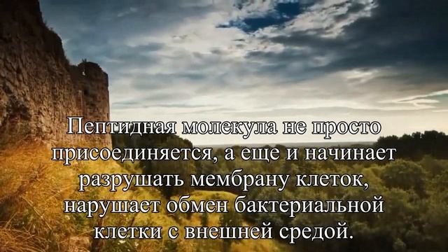 Пептиды могут стать эффективными антибиотиками — Статья смотреть онлайн