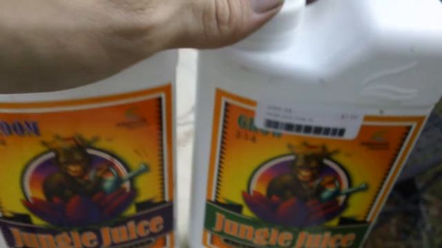 Volume 2 Part 2 Update 8-4-11 смотреть онлайн