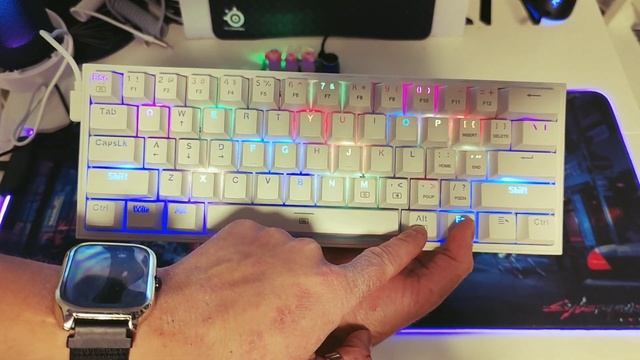 Redragon Fizz K617 Quick Unboxing (Typing Sound Test)