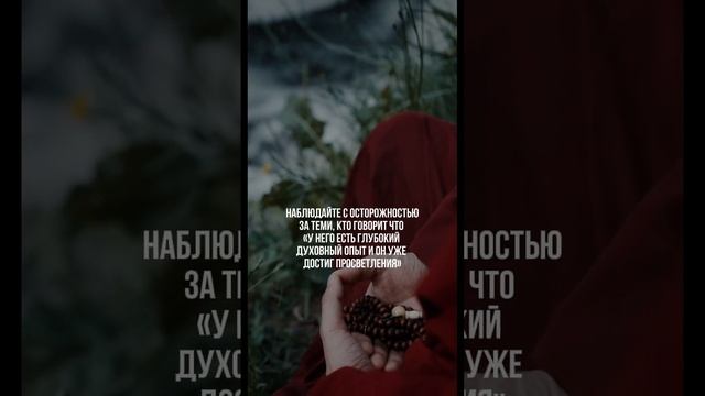 Наблюдайте с осторожностью за теми, кто обещает вам просветление за 2 дня за 1000$ смотреть онлайн