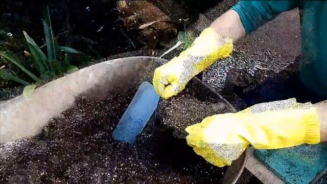 Trasplante de Guayacanes смотреть онлайн