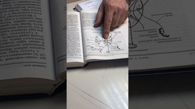 промежуточный мозг 2 смотреть онлайн