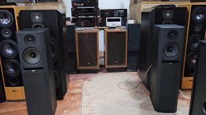 Bowers Wilkins DM 305.