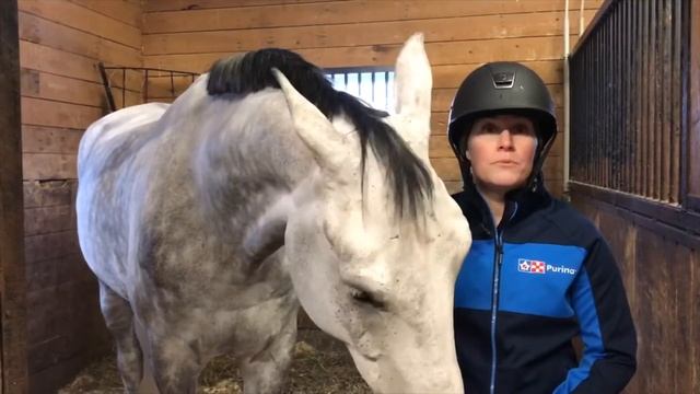 Club Excellence: Pourquoi Purina avec Maude Boulanger-Bouchard смотреть онлайн
