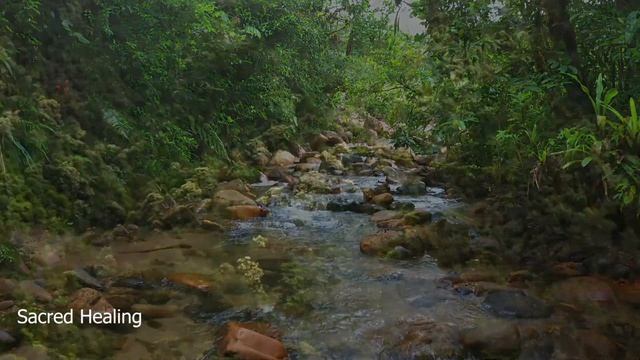 Indian meditation music: Calm mind, Soothing Indian flute music, Relaxing background music for Yoga смотреть онлайн