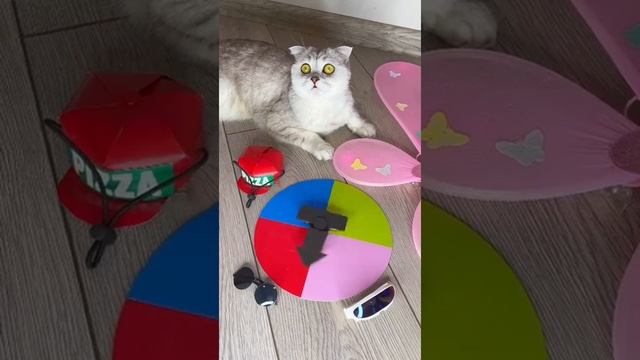 Как вам костюмчик? Купили на @ozon.ru #cat #fyp смотреть онлайн