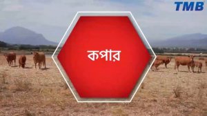 TMB Trace Mineral Bolus for Cattle - Iron, Copper, Manganese, Zinc, Cobalt, Iodine, Selenium