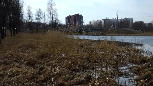 16 04 23 Камыш смотреть онлайн