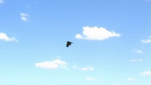 "Ищущая душа Абая" Часть-2 смотреть онлайн