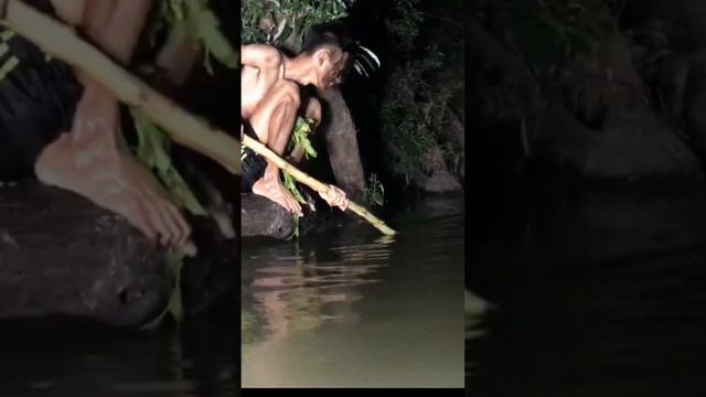 Unique! Amazing 😻 Jungle man use tool of traditional for fishing 🎣 in the river смотреть онлайн