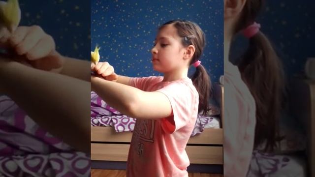 Я учу Бэлис садиться на руку и летать. Она не правильно летает. Я учу правильно разминать крылья им смотреть онлайн